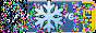 the button with a big snowflake in the middle