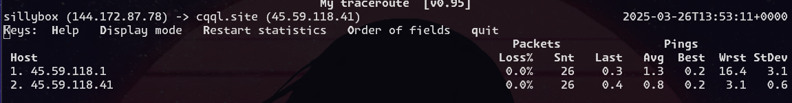 sub millisecond ping from snow's vps to mine